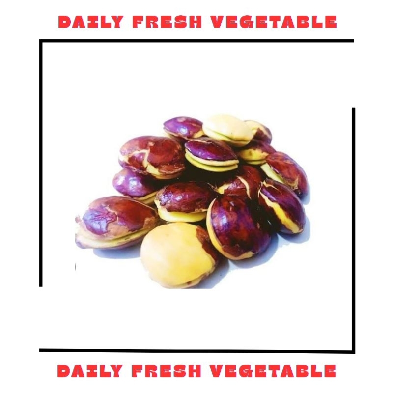 

Jengkol Tua Fresh 500gr