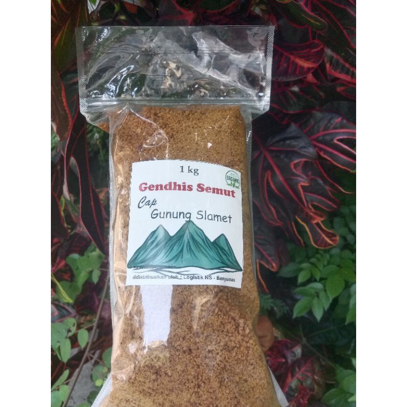 

gula aren ( GENDIS SEMUT)