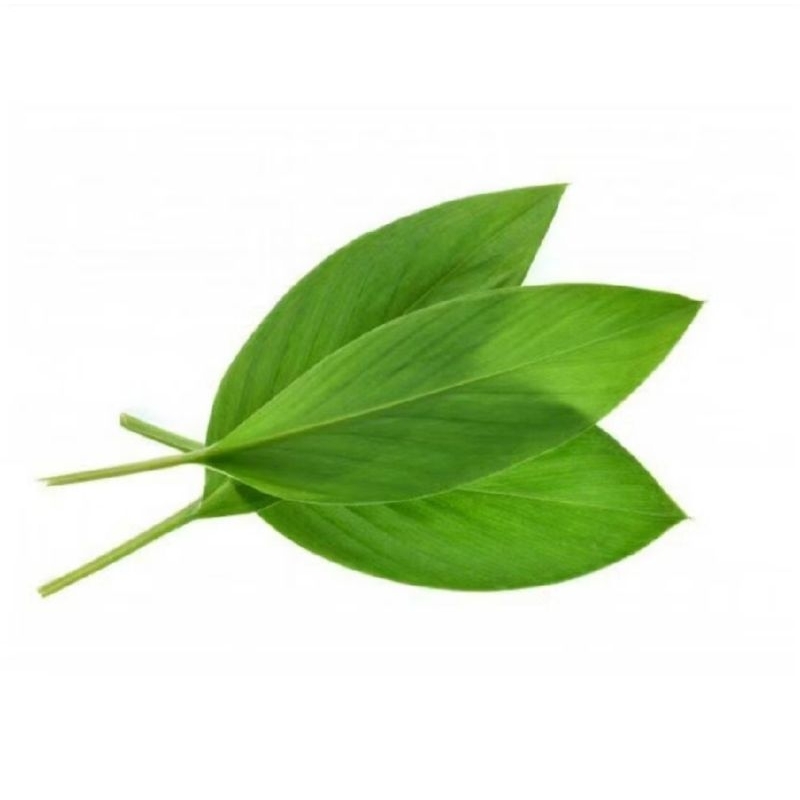 

DAUN KUNYIT SEGAR PER 5 LEMBAR TERMURAH