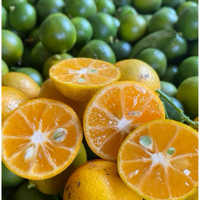 

1kg jeruk sonkit rasa asam cocok untuk minuman
