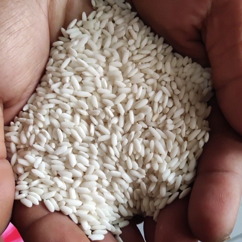

ketan putih/ketan batang/ketan subang