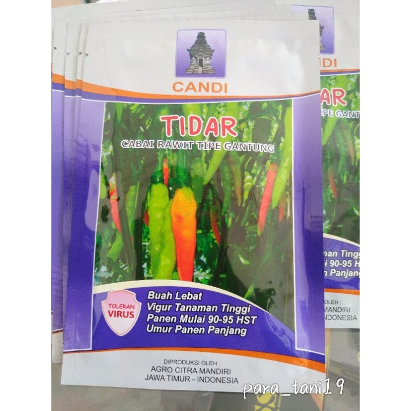 

TIDAR cabe rawit tidar 10grm cabai rawit tipe gantung