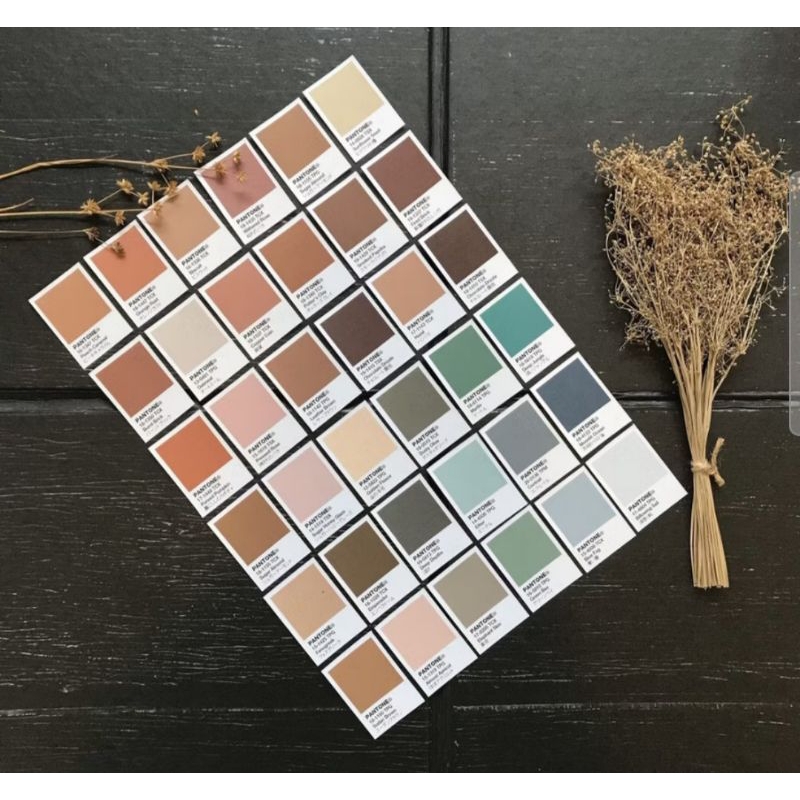 

Pantone Sticker Soft and Dark Colour