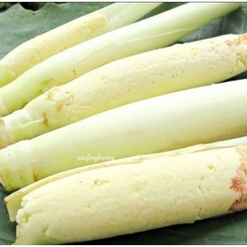 

TERUBUK, TERUBUK SAYUR SEGAR FRESH SATUAN PERBATANG SIAP MASAK
