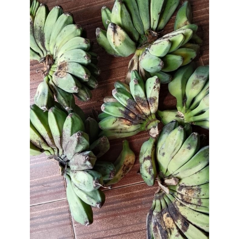 

Pisang Kepok Sesisir Besar