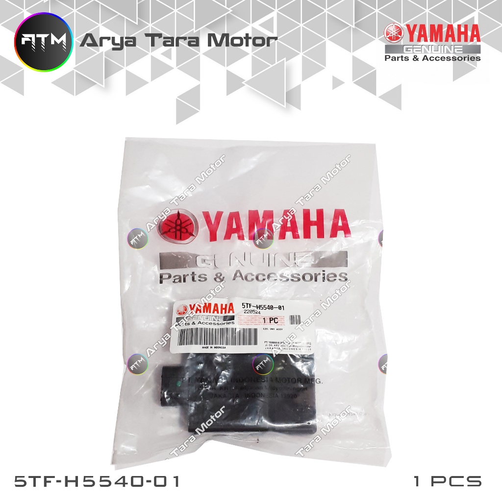 CDI Jupiter Z 2006-2008 Burhan, Vega R New 2006-2008 5TF-H5540-01 YGP (Yamaha)