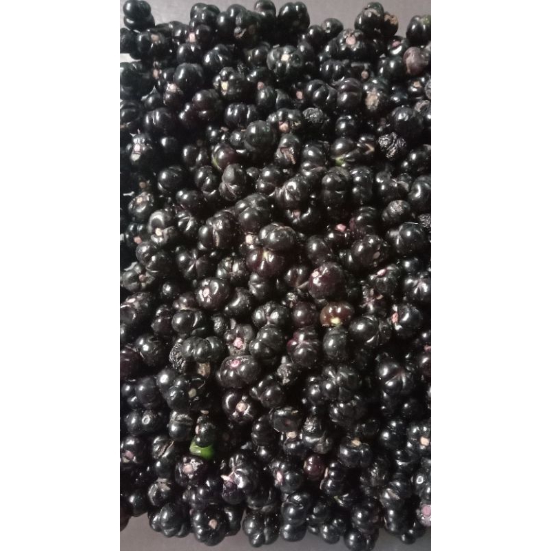 Buah Angkung Segar 200 biji