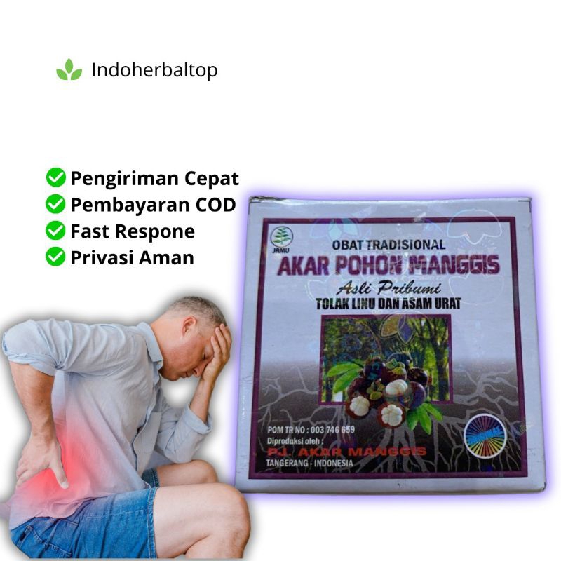 

Kapsul Akar Pohon Manggis Original