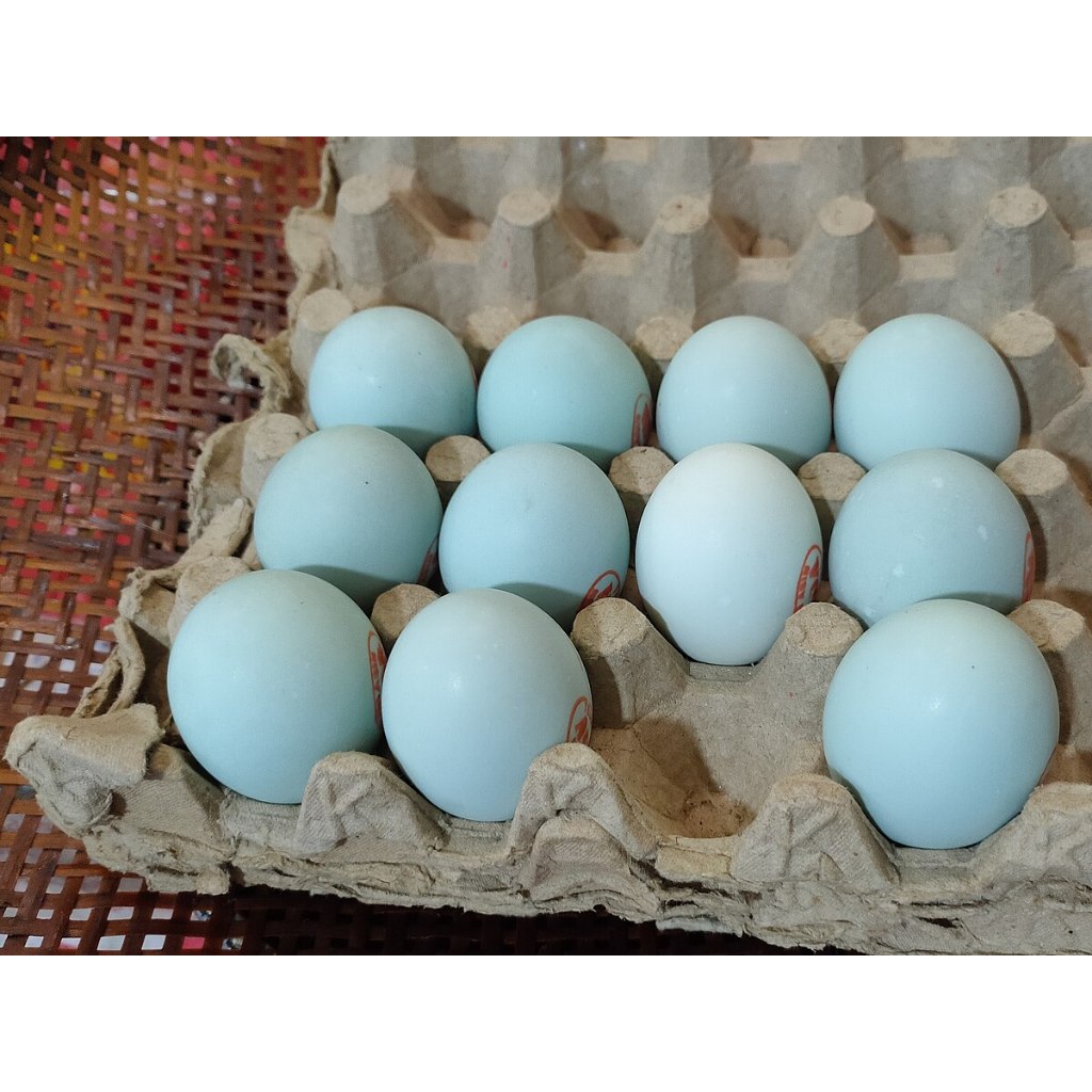 

telur bebek matang isi 6pcs