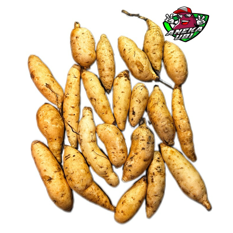 

ubi madu cilembu kecil isi 20 pcs per 1 kg