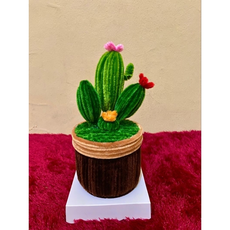 

Hampers toples lucu kaktus / Hampers / toples lucu / bisa custom / handcraft