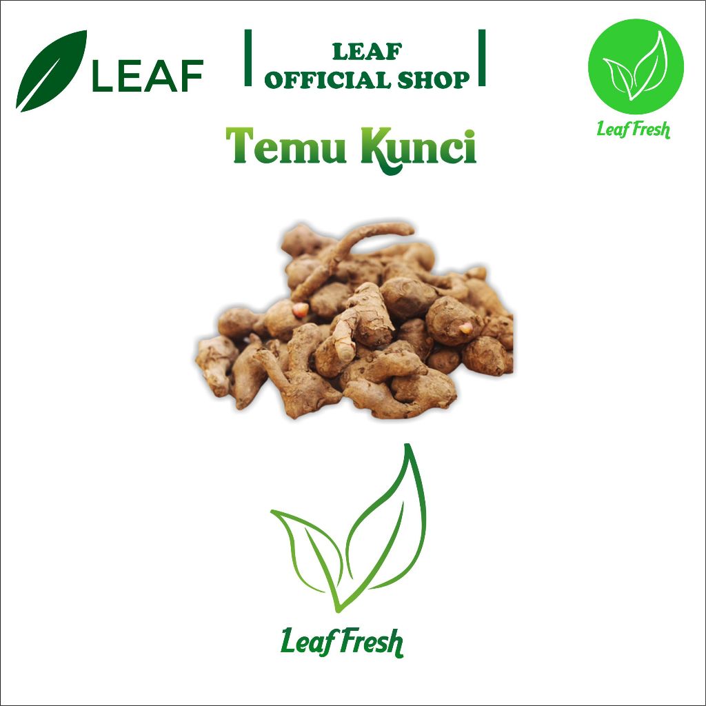 

TEMU KUNCI KESEHATAN BY LEAF FRESH