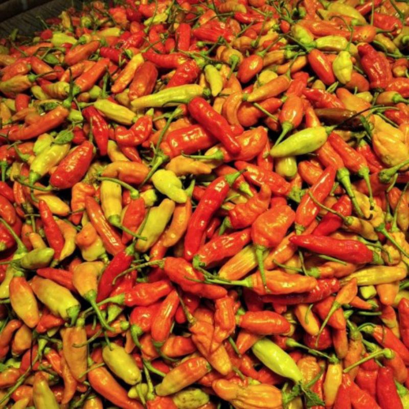 

Sayur cabai rawit domba 100g by pasar Tasik online