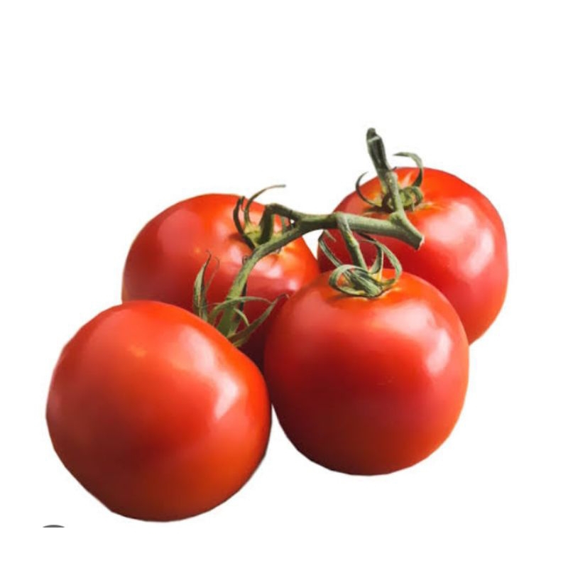 

tomat segar per 1kg