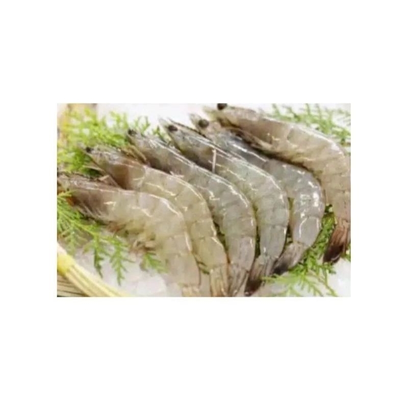 

Udang Size Sedang 200 gr - Siap Kirim Instan 2 Jam Semarang