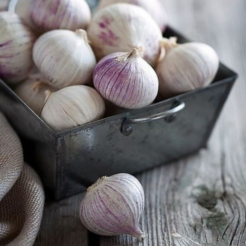 

Bawang putih tunggal GRADE A 1kg