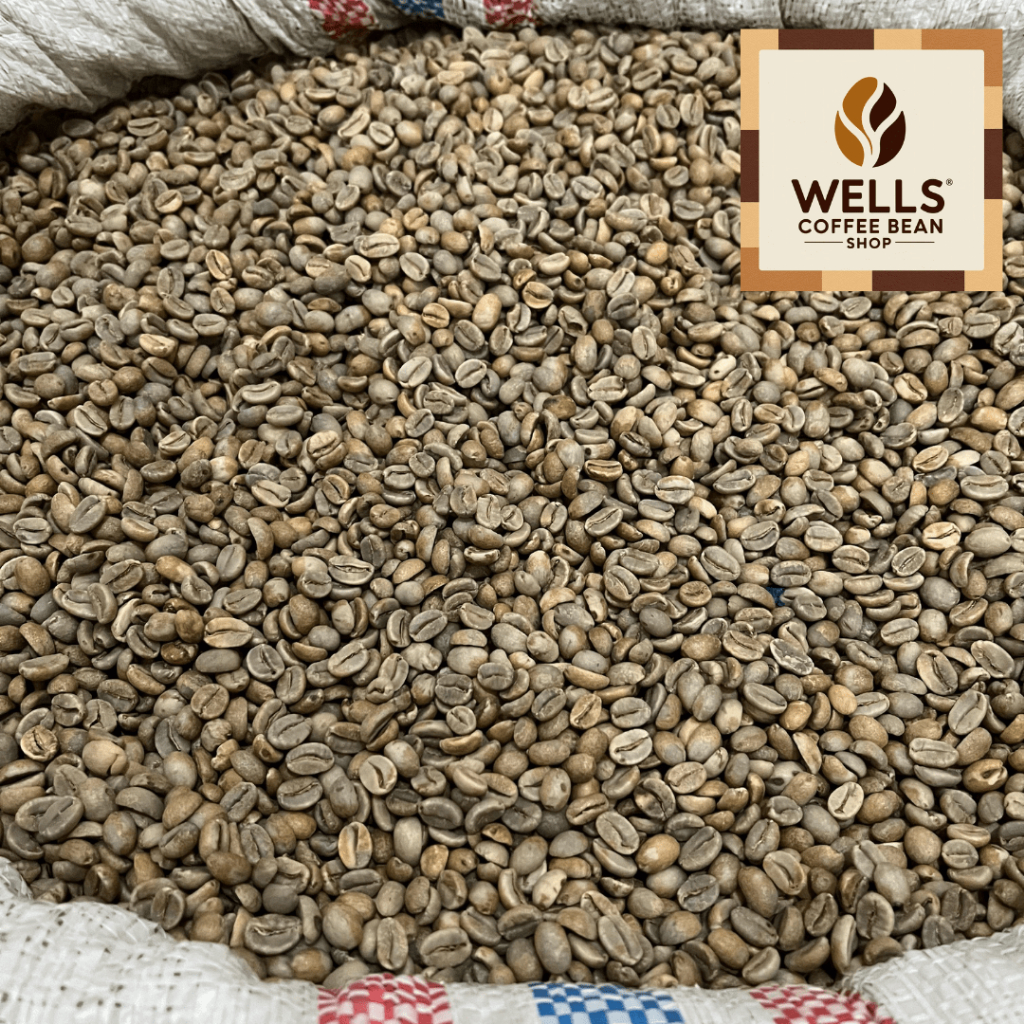 

Well's Toko Biji Kopi - GREEN BEAN ARABIKA PAPANDAYAN FULL WASH PROCESS GRADE 1 - 1 KG
