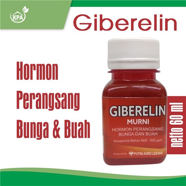 Hormon Mempercepat Berbunga dan berbuah - Hormon Giberelin 60ml
