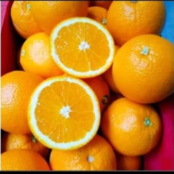 

SUNKIST NAVEL 1KG