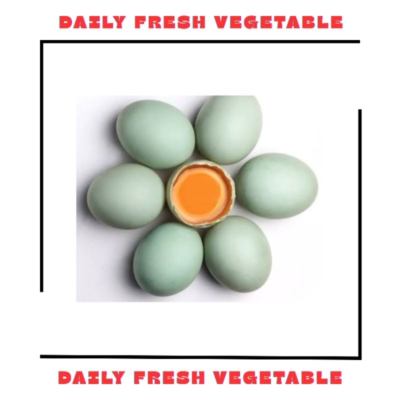 

Telur Bebek Fresh 5 Pcs