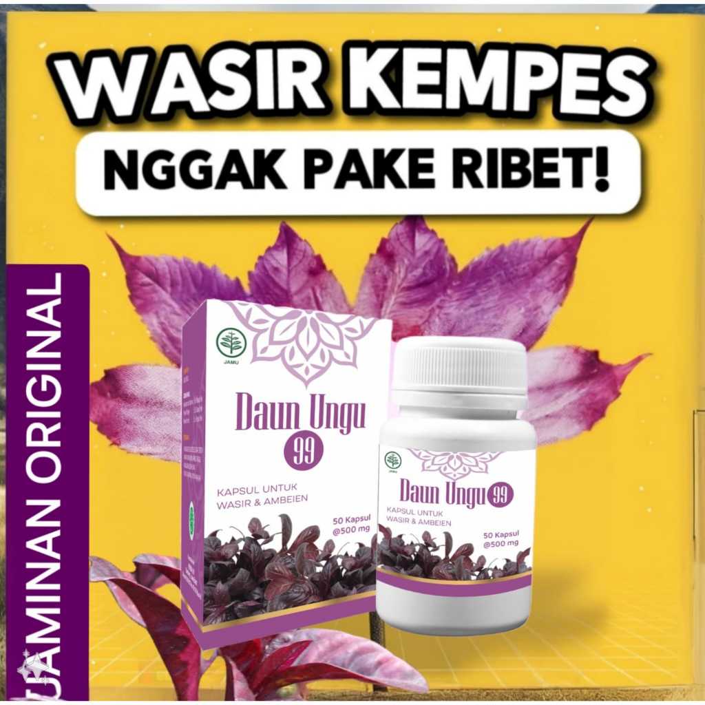 Kapsul daun ungu Kapsul Herbal Obat Wasir Ambeien Ambeyen Kapsul daun Ungu / daun ungu