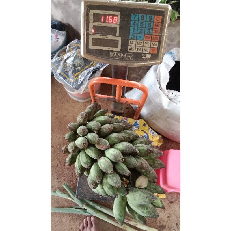 

Terbaru ready stok pisang kepok lokal tua/setengah matang per 1kg