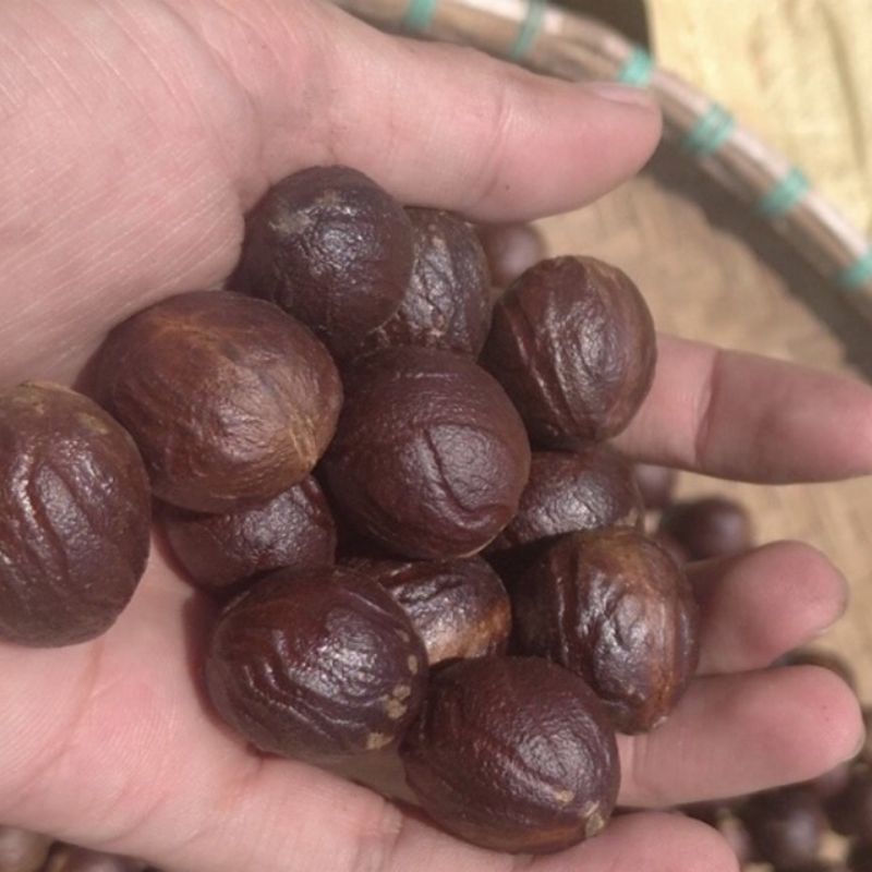 

Biji Pala kering rempah pala 100gr
