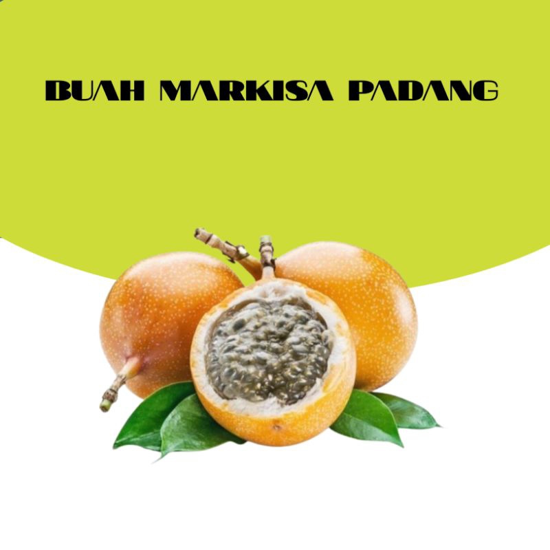 

BUAH MARKISA PADANG 1KG