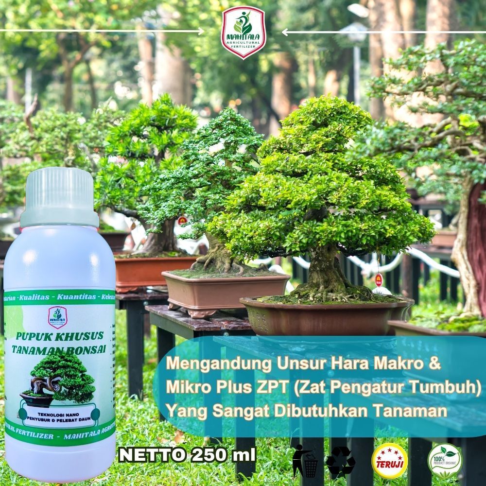 Pupuk Khusus Bonsai Pemacu dan Pelebat Perangsang Akar Batang Daun Bonsai Pupuk Penyubur Bonsai