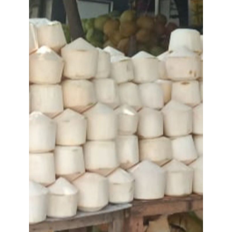 

Kelapa Muda
