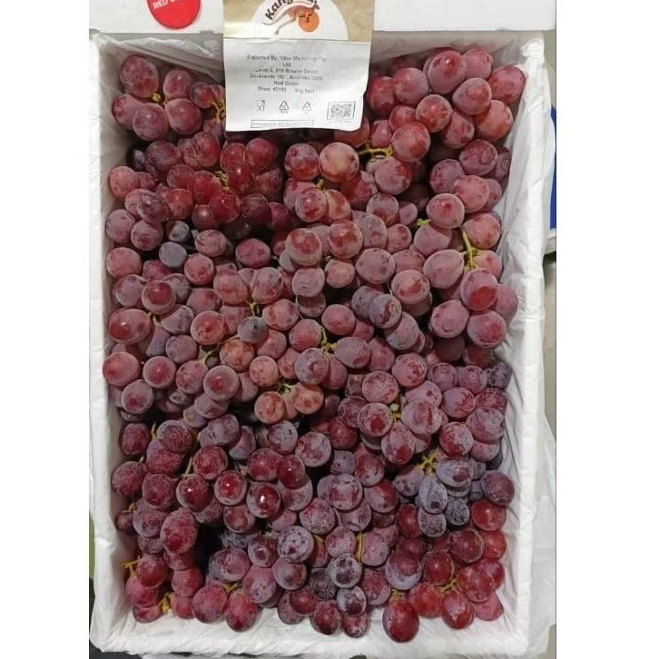 

ANGGUR RED GLOBE AUSTRALIA 1 KERANJANG /selalu baru 9kg