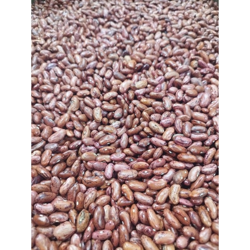 

Kacang Merah 1kg