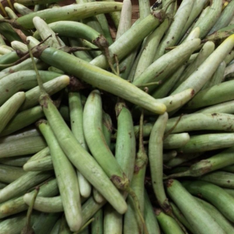 

terong Medan 500gram