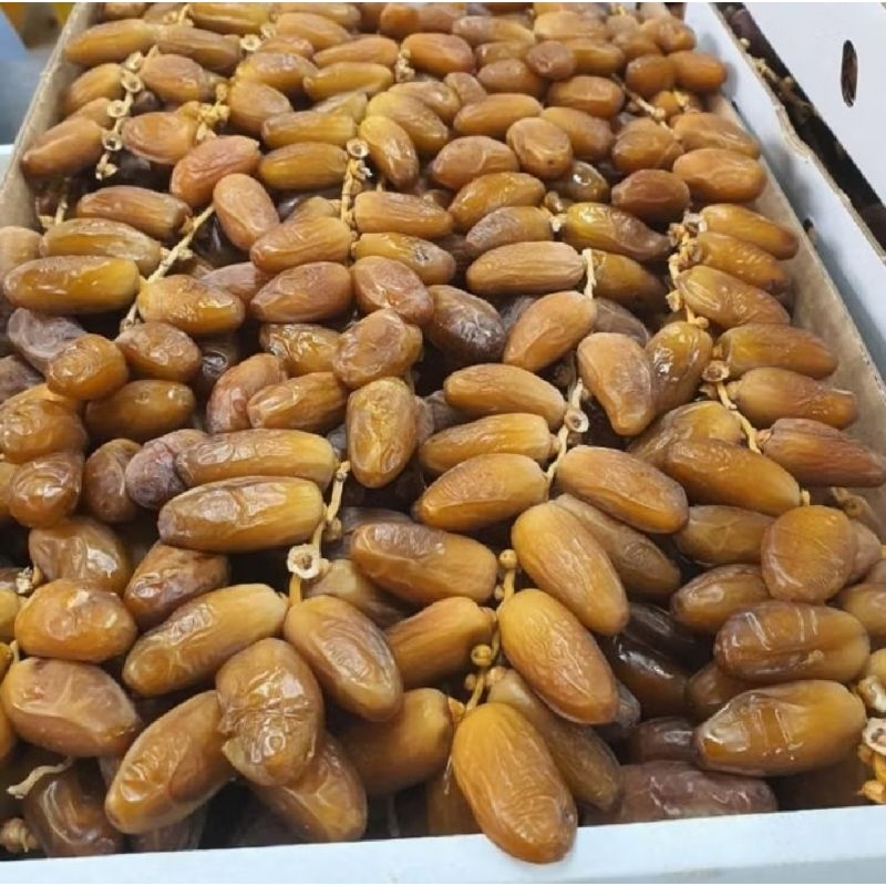 

Kurma Tangkai 1kg | Kurma Palm Frutt Tangkai 1kg