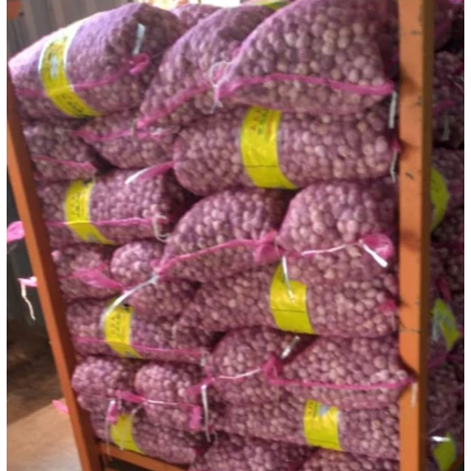 

ready stok bawang tunggal bawang lanang promo paling murah
