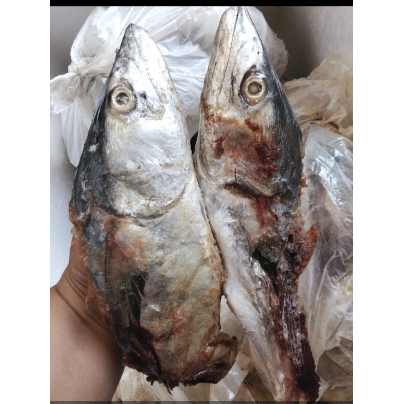 

kepala ikan tengiri kemasan 2kg