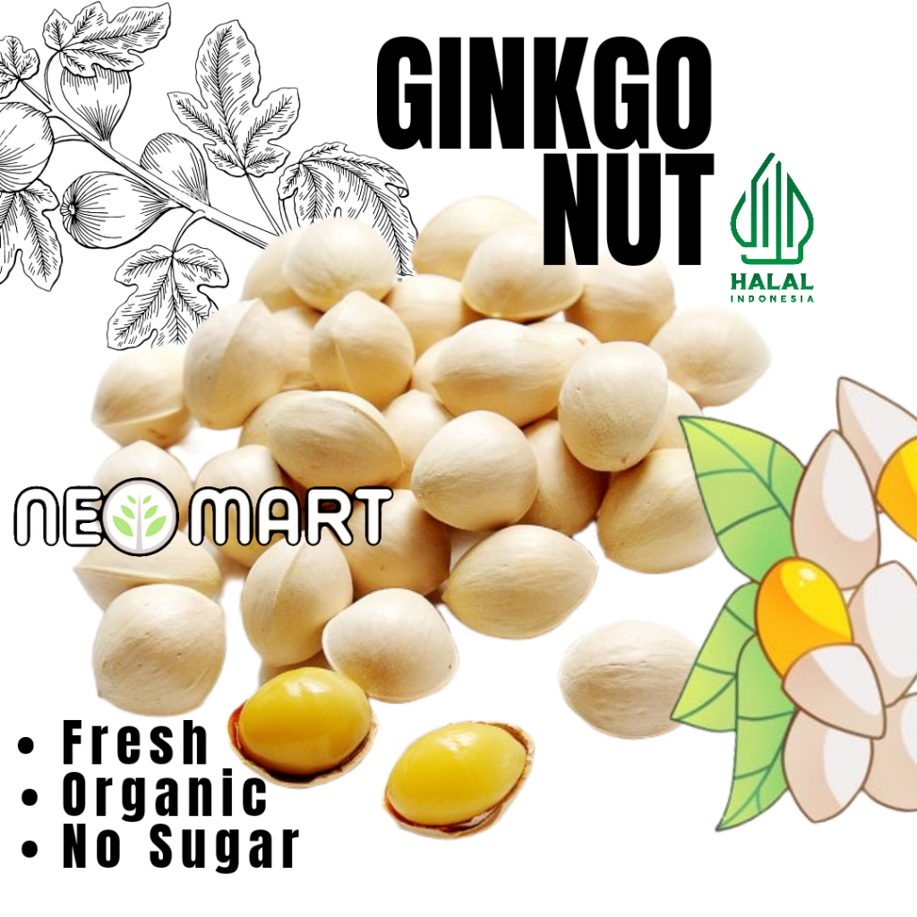 

Ginkgo Nut 250gr/ Bai Guo (白果) / Ginkgo Biloba / Ginko / Pak Kuo