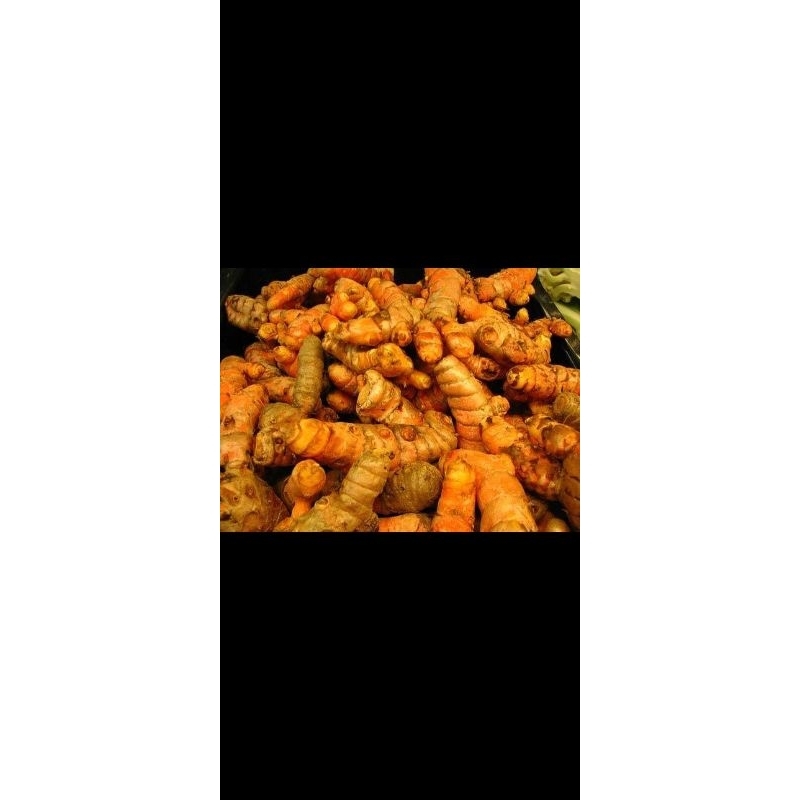 

Kunyit segar 1kg