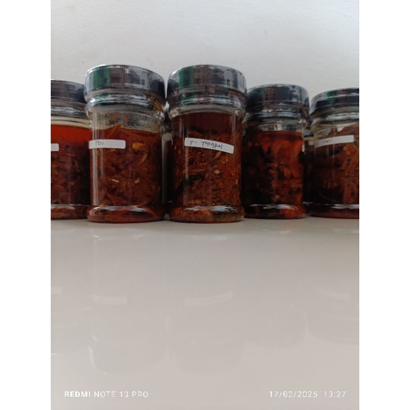

JUARA SAMBAL