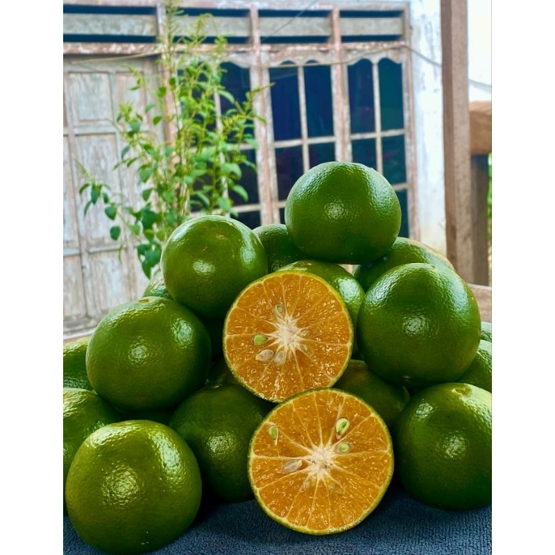 

Jeruk Manis 1KG 100% Fresh dari kebun