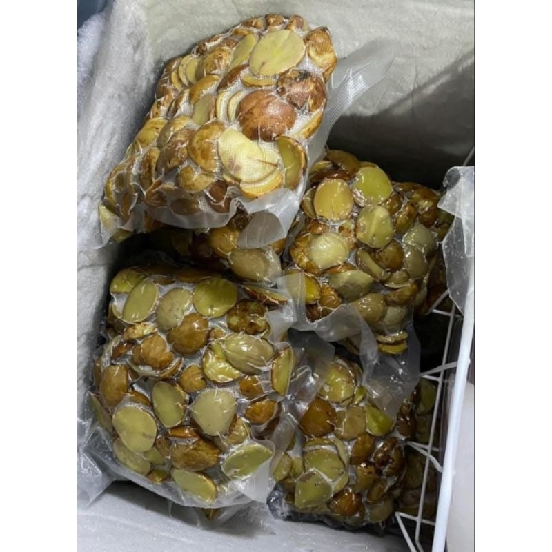 

500g - JENGKOL MUDA