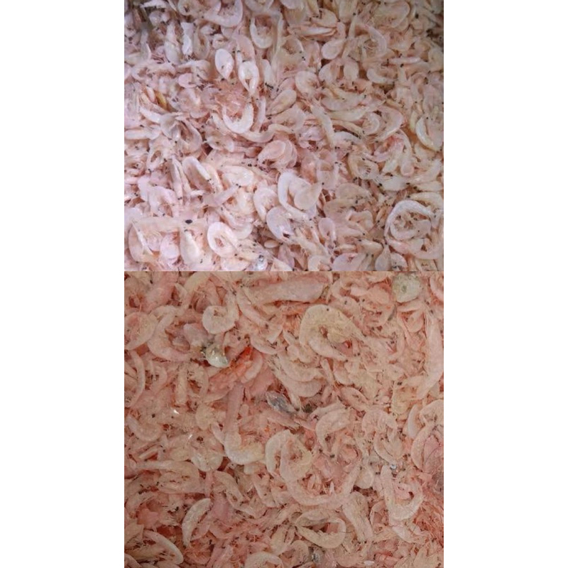 

Kacepai/Udang Rebon Asin 1Kg