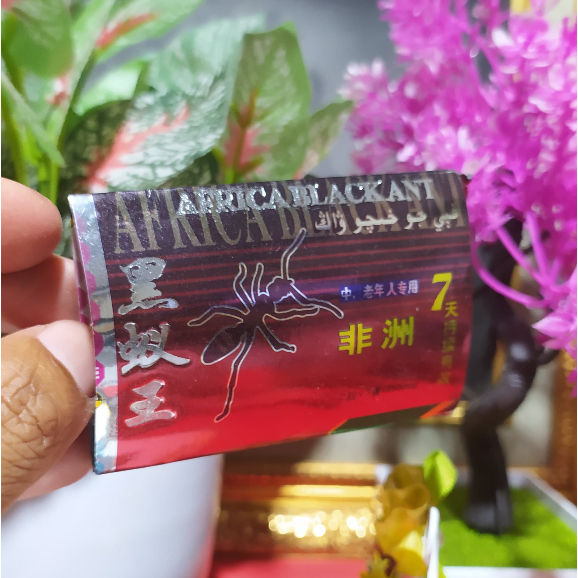 

Madu Bubuk Herb ECER PREMIUM Black ANT 1 Pack isi 2 Butir Hyperx