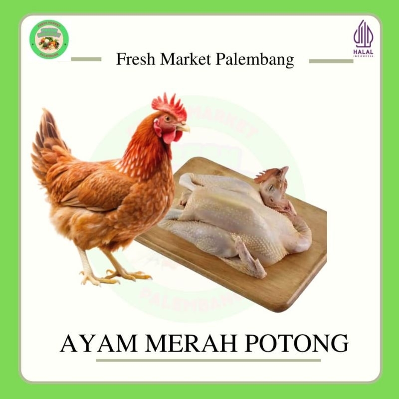 Ayam Petelur/Merah Potong -Fresh Market Palembang-