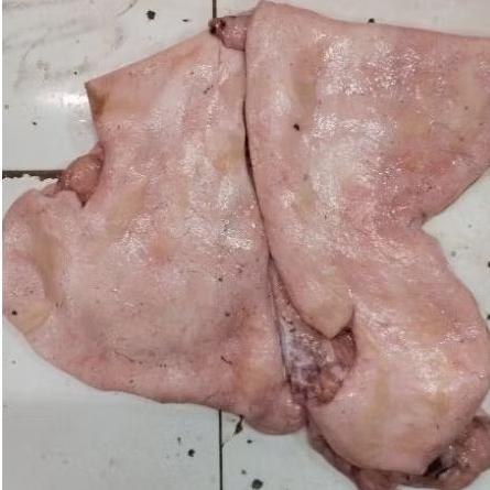 

Kulit Sapi Mentah/Kikil Sapi Mentah Lokal Fresh 500gr - 1kg