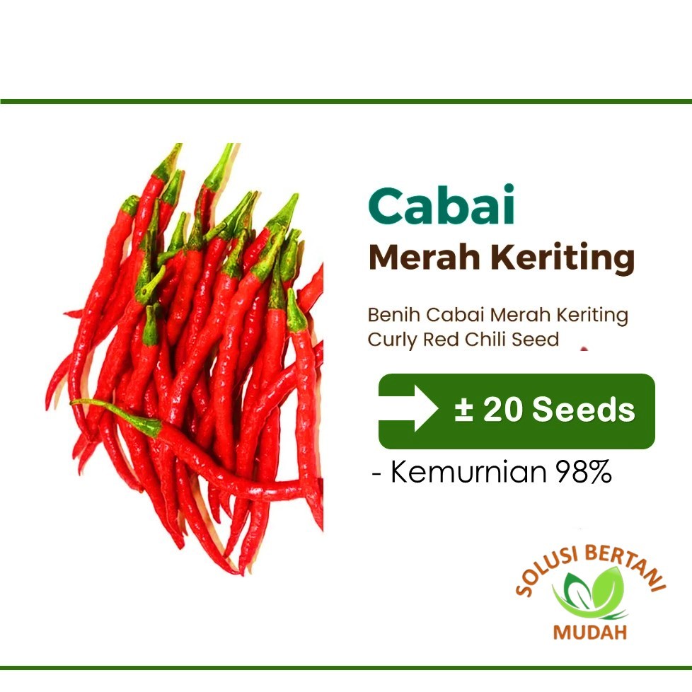 20 Biji - Bibit Bibit Cabe Merah Keriting Unggul