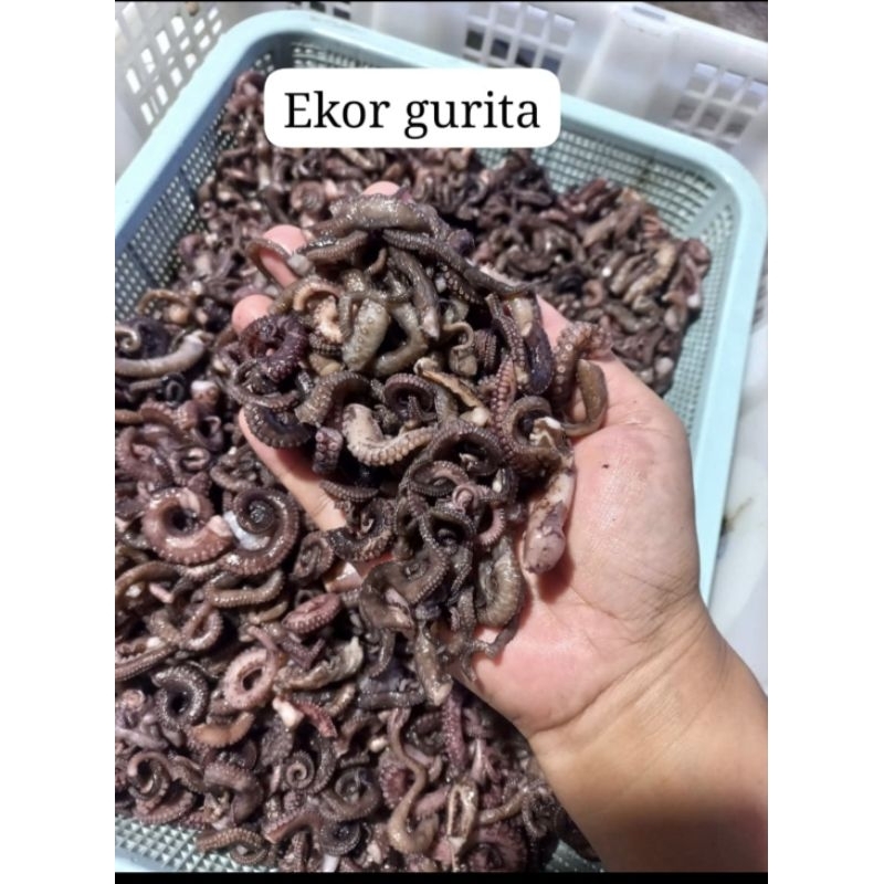 

kaki gurita