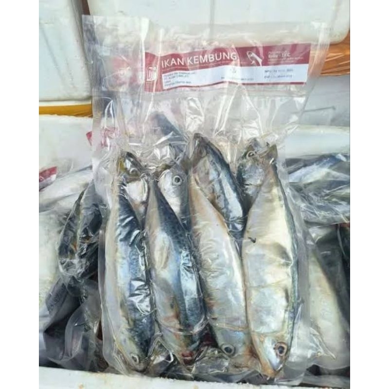 

Ikan kembung 1 kg