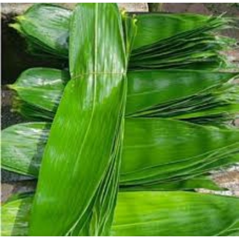 

daun bambu segar lebar 10cm per 50 lembar/daun bambu segar per 50 lembar