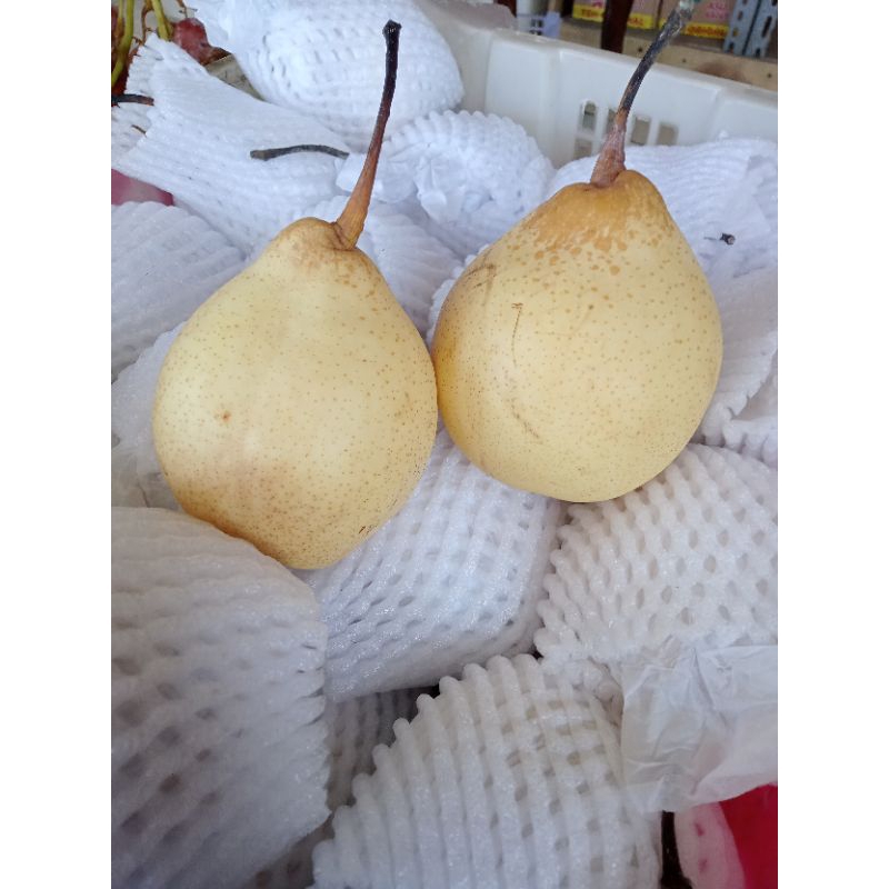 

buah pear 1kg